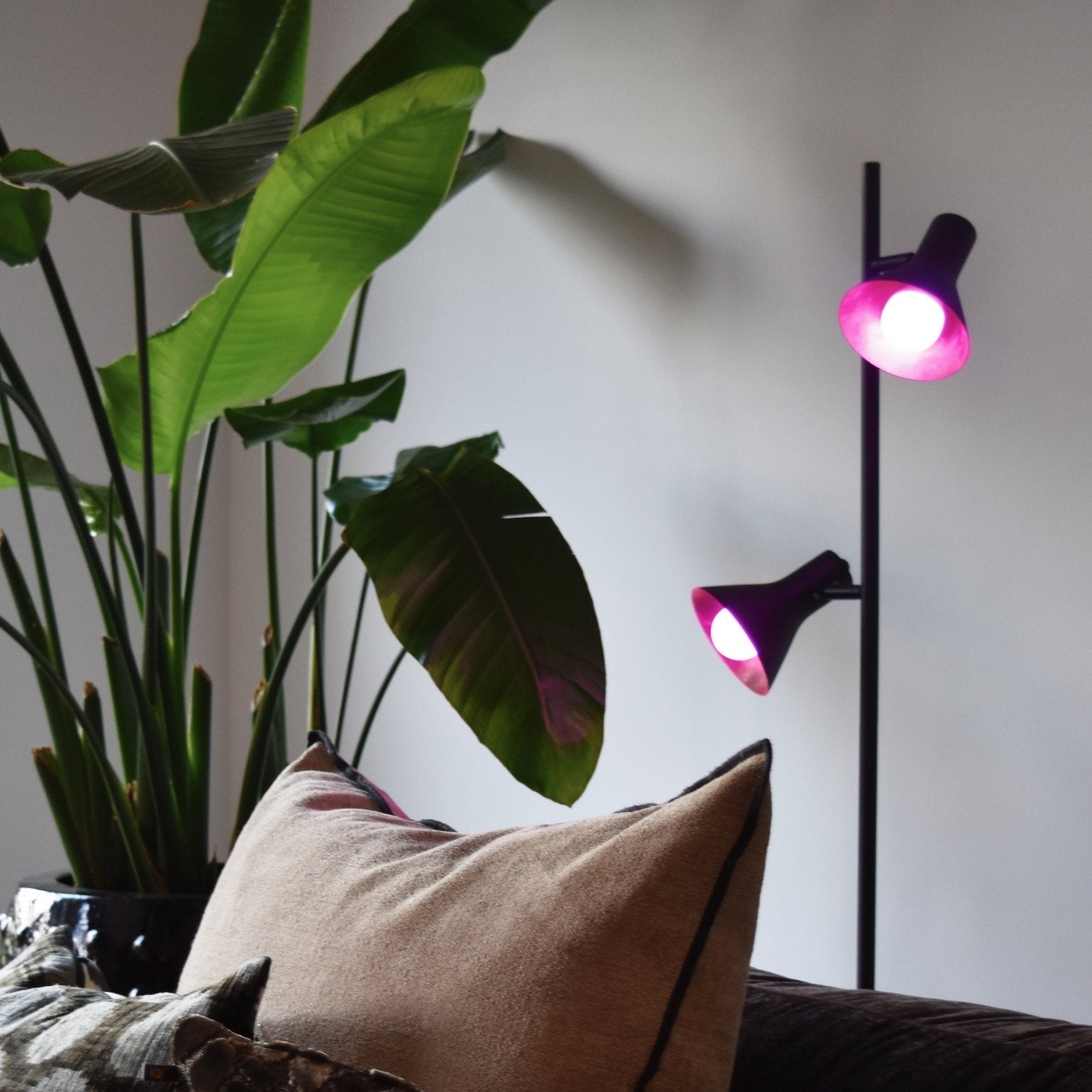 Calex Smart LED Bulb - E14 - B35 - RGB + CCT