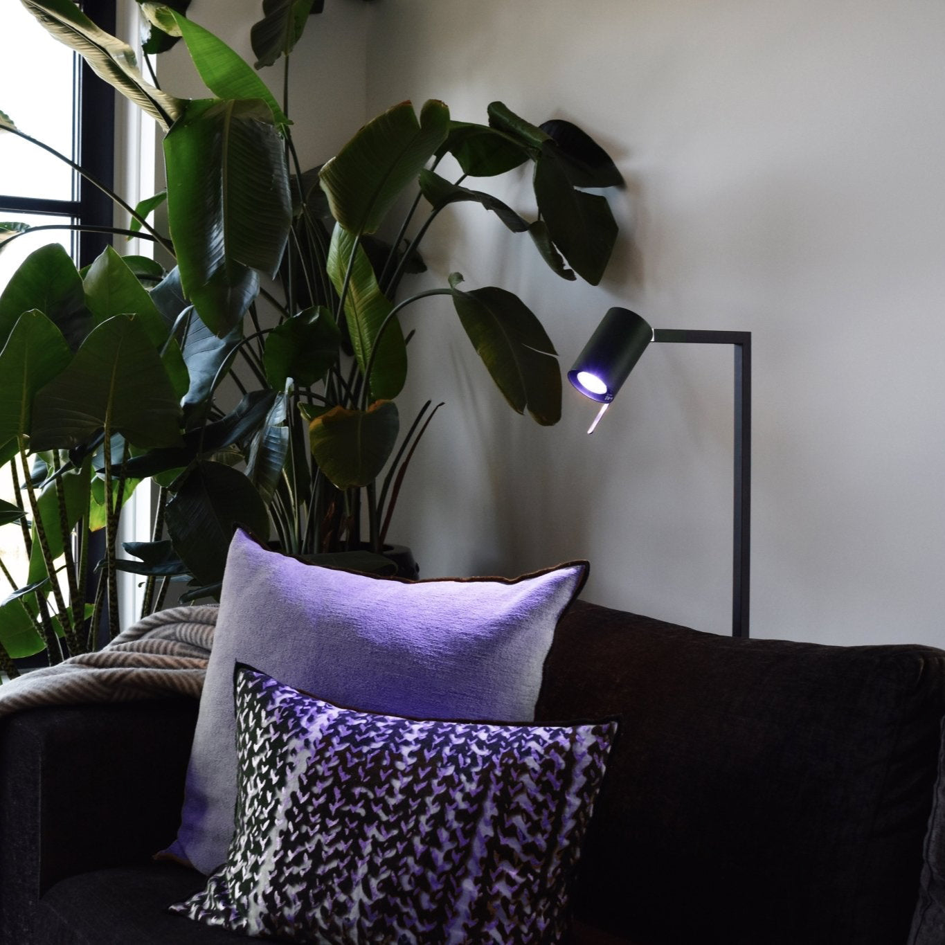 Calex Smart LED Bulb - E27- P45 - RGB + CCT