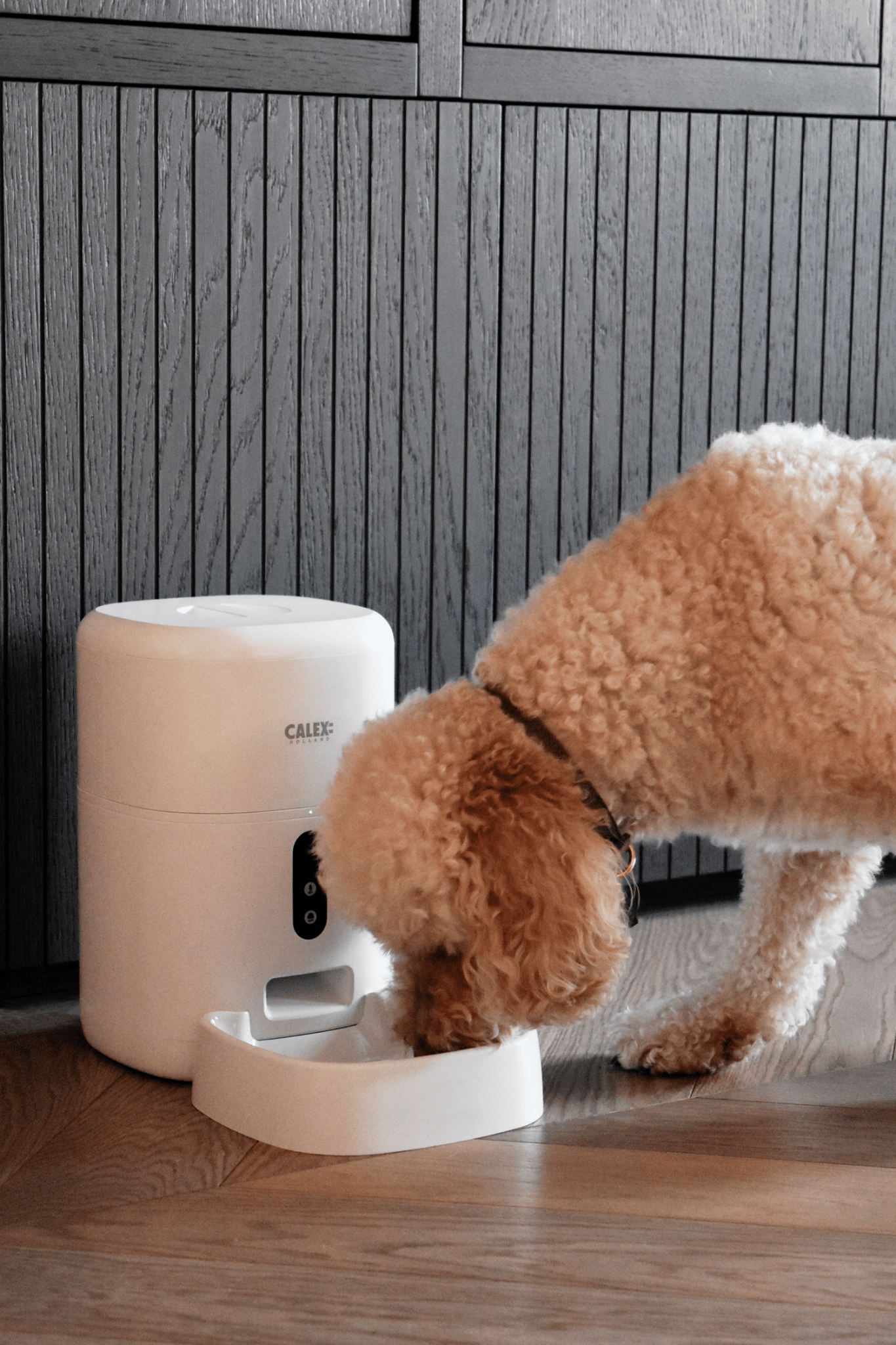 Calex Smart Petfeeder - 1080p Camera