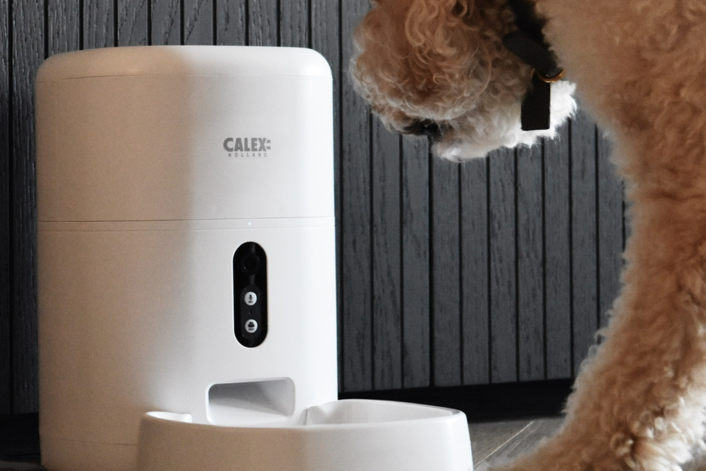 Calex Smart Petfeeder; Here's why you and your four-legged friend need it