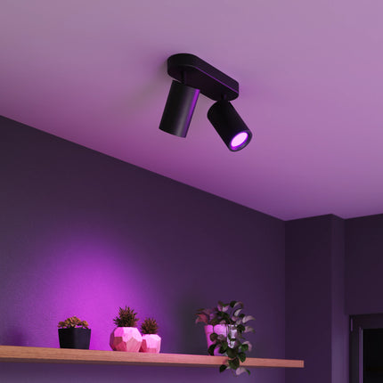 Calex Smart Ceiling Light - 2 Light Spot - Black