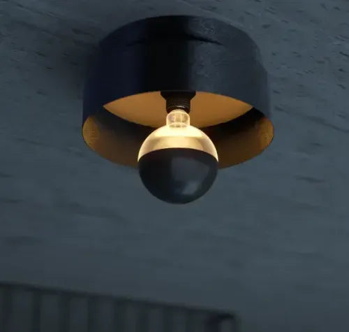 <h2>Wall/Ceiling Fixtures</h2>