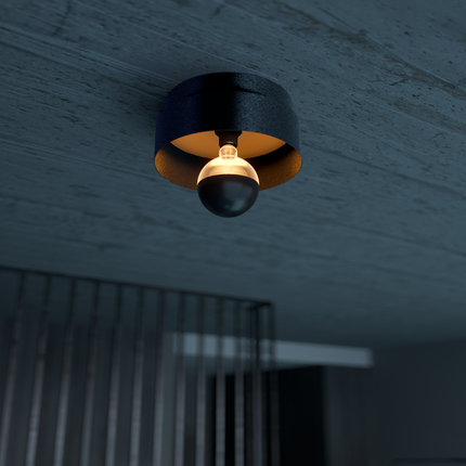 Calex Plafonniere - Mirror - Black - Diameter 30cm