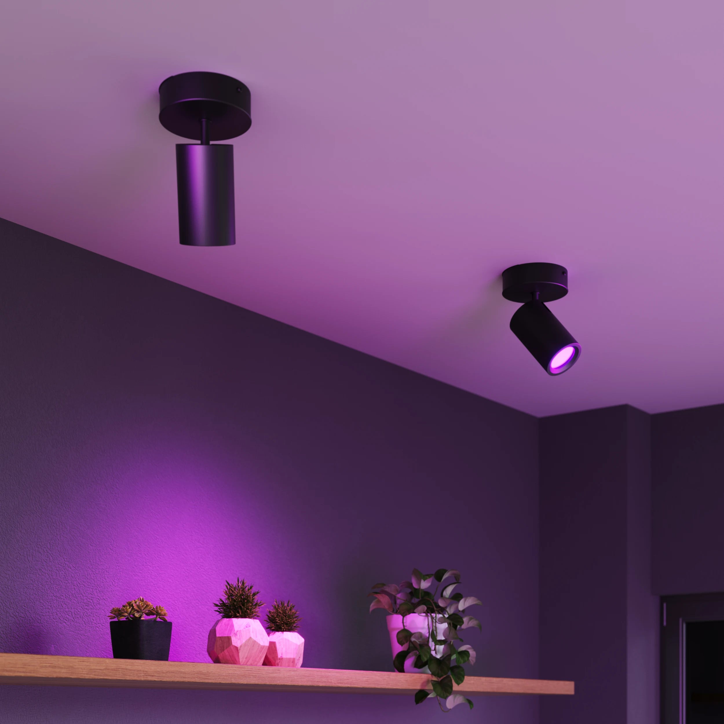 Calex Smart Ceiling Light - 1 Light Spot - Black