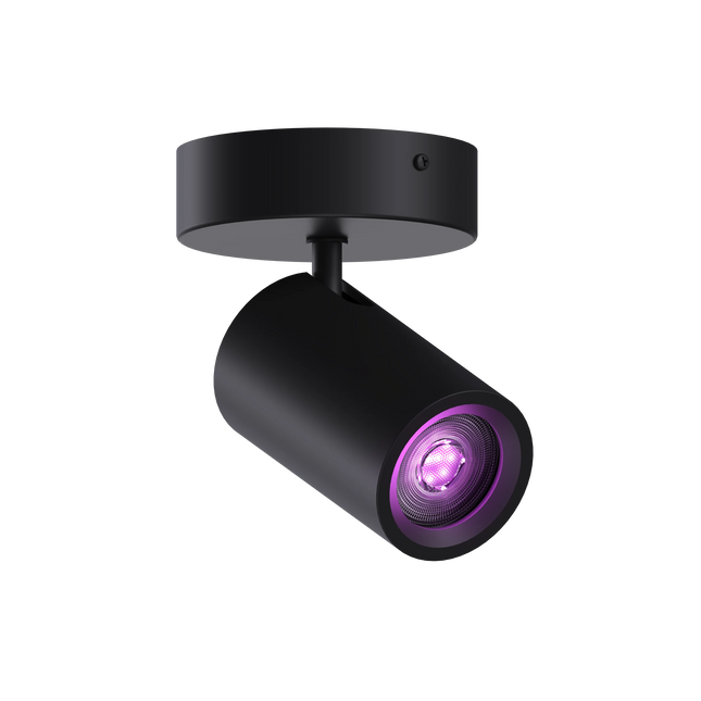 Calex Smart Ceiling Light - 1 Light Spot - Black