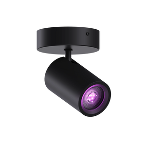 Calex Smart Ceiling Light - 1 Light Spot - Black