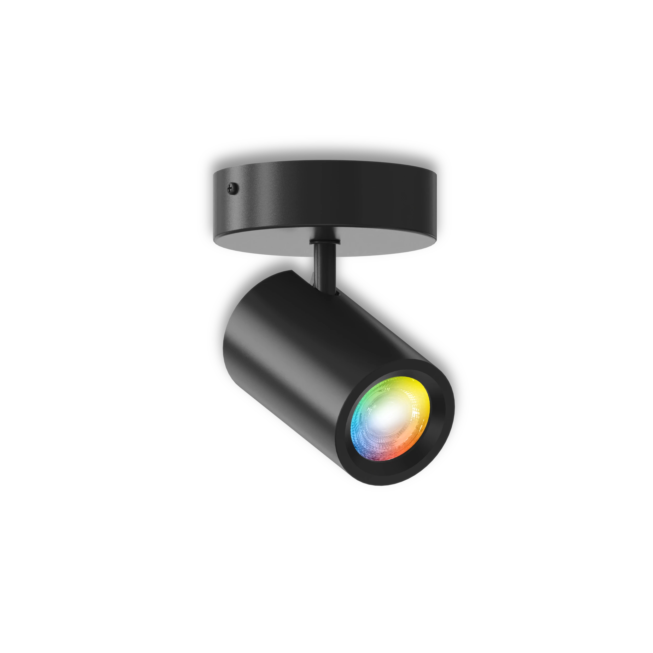 Calex Smart Ceiling Light - 1 Light Spot - Black