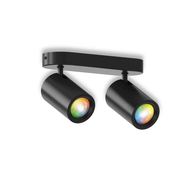 Calex Smart Ceiling Light - 2 Light Spot - Black