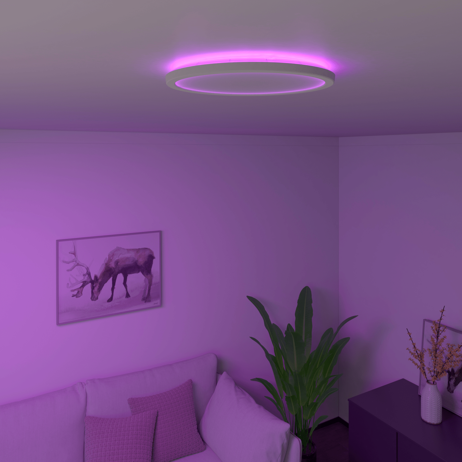 Calex Smart Halo Ceiling Light - 30cm - RGB + CCT - White
