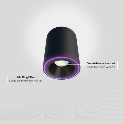 Calex Smart Halo Spotlight - RGB + CCT - Black