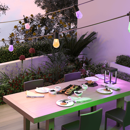 Calex Smart Outdoor Festoon 24v - RGB and CCT