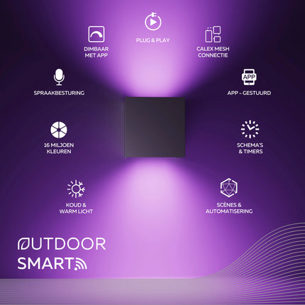 Calex Smart Wall Light - RGB and CCT - Black