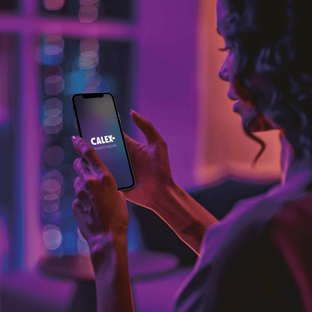 <ul class="metafield-single_line_text_field-array"><li class="metafield-single_line_text_field">Easy installation</li><li class="metafield-single_line_text_field">In app dimmable</li><li class="metafield-single_line_text_field">RGBIC</li><li class="metafield-single_line_text_field">Voice control</li></ul>